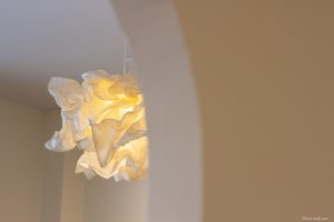 IMG_3136 IMG_3136