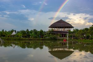 IMG_0830 IMG_0830