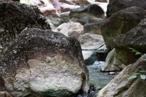 IMG_2459 IMG_2459