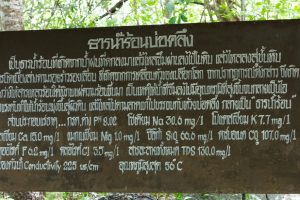 IMG_2464 IMG_2464
