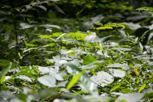 IMG_3334 IMG_3334