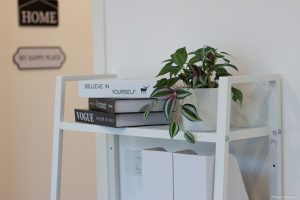 IMG_4474 IMG_4474