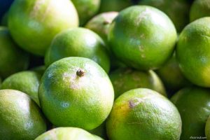 IMG_1377 IMG_1377