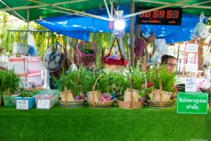 tamtu_048 tamtu_048